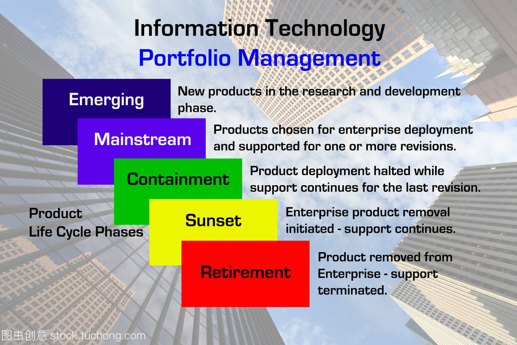 信息技术的投资组合管理图