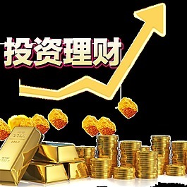 金币投资宣传册图片